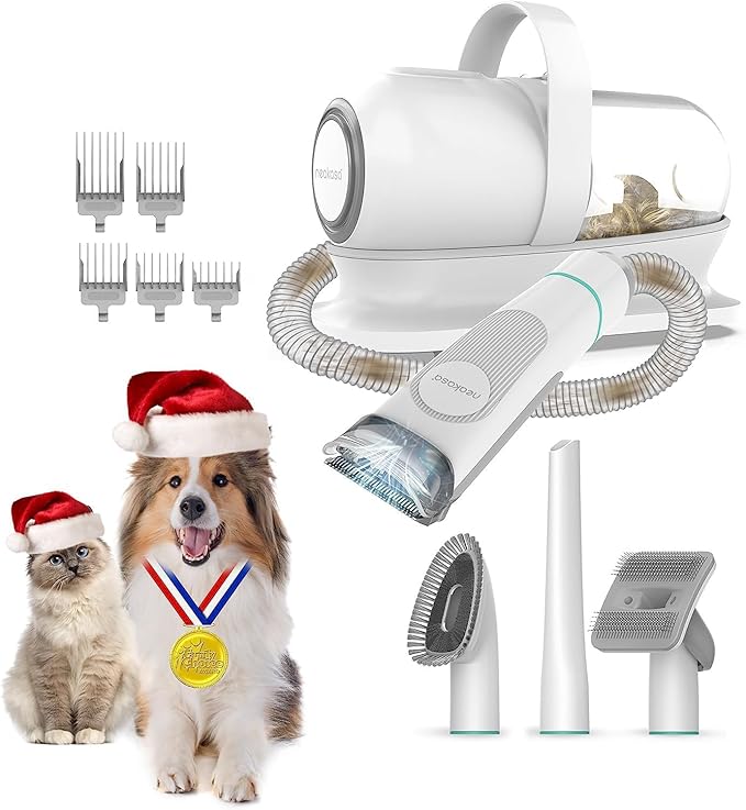 Cat Grooming Tools