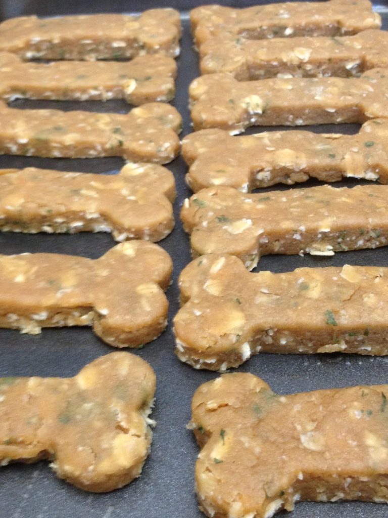 homemade dog treats
