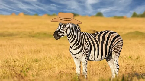 Brown Zebra